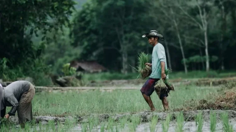 Akademisi Untan: Lalai Bonus Demografi Sebabkan Usia Tua Miskin