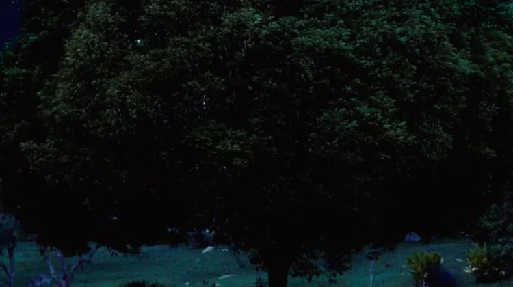 Reality Club Tampilkan Sisi Spiritual di Lagu Terbaru "Close To You"