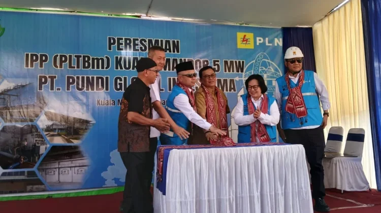 Pembangkit Listrik Biomassa di Kubu Raya Hasilkan 5 MW