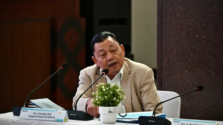 Pandangan Cornelis ditengah Eskalasi Konflik Global