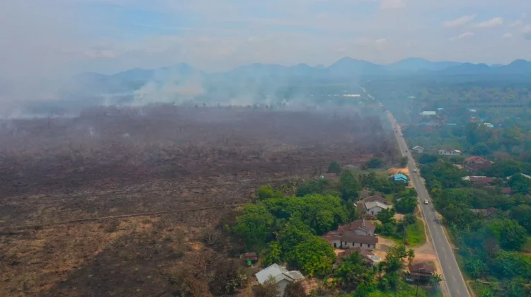 WALHI Rilis Lebih dari 5000 Titik Api Muncul di Gambut Meaki Masih Musim Hujan, Awal 2