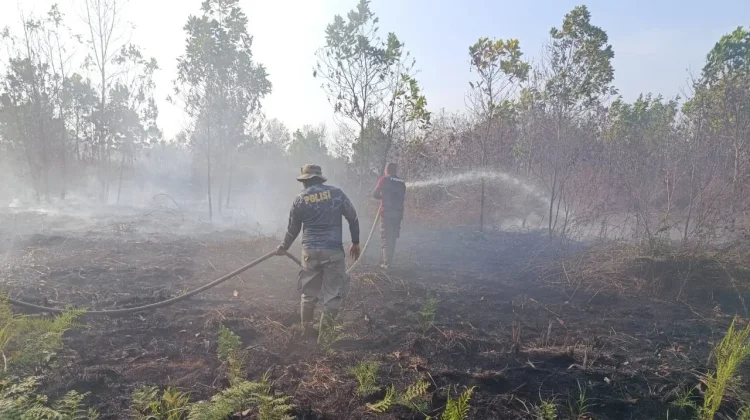 Kubu Raya Membara, 20 Hektare Lahan Gambut Hangus