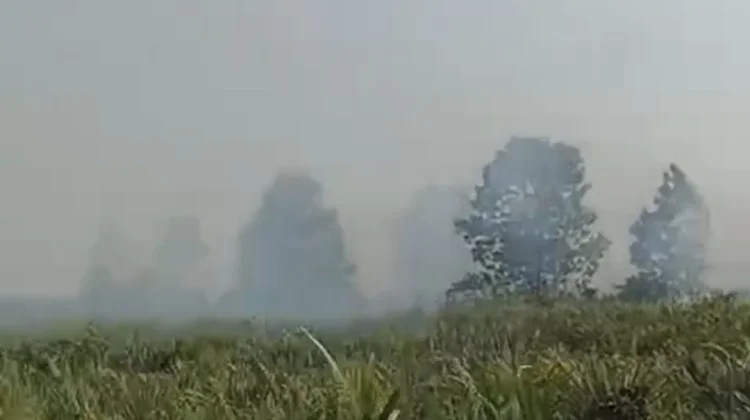 Karhutla Terjadi di Sejumlah Wilayah Kalbar, Masyarakat diminta Waspada