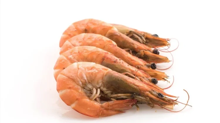 Manfaat dan Risiko Mengkonsumsi Udang yang Perlu Diketahui