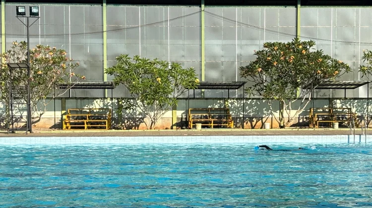 Waktu Terbaik Berenang, Frekuensi, dan Durasi yang Ideal