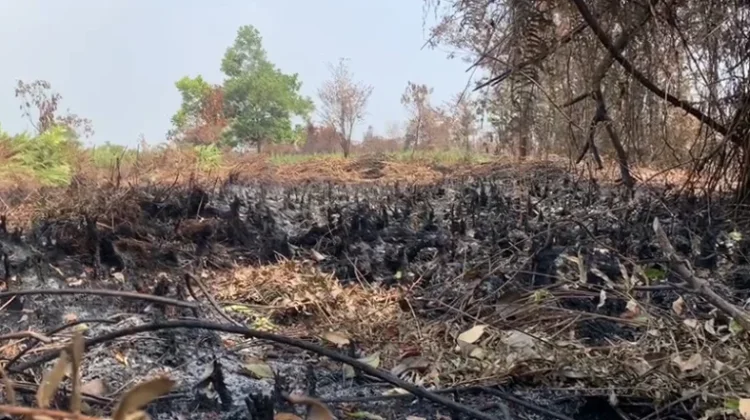 BPBD Pontianak Siapkan Posko Cegah Karhutla saat Kemarau