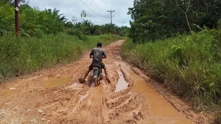 CSR Diminta Lebih Tepat Sasaran, Perusahaan Diajak Bantu Perbaikan Jalan di Kalbar