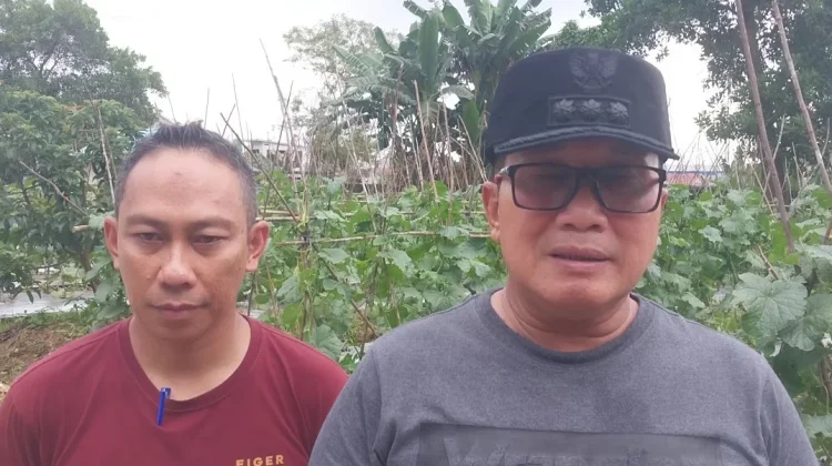 Kubu Raya Usulkan Tiga Kecamatan Sebagai Daerah Cetak Sawah Baru