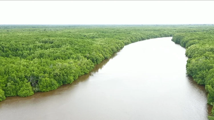 Calon Lokasi Intervensi GCF Kubu Raya Dukung Mitigasi Adaptasi Berbasis Lahan