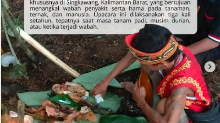 Ritual Adat Besamsam, Warisan Budaya yang Sarat Makna