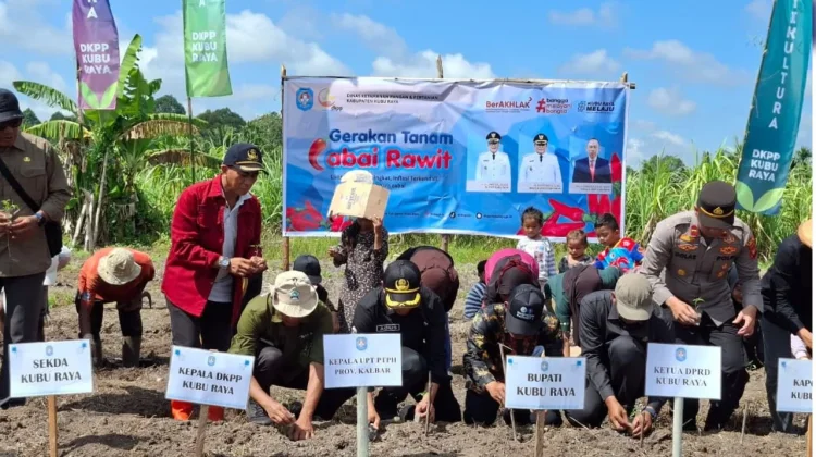 Tekan Inflasi, Kubu Raya Dorong Petani Tingkatkan Produksi Cabai Rawit