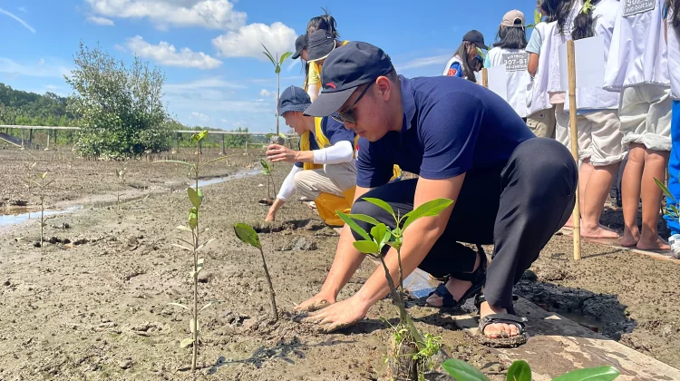 Perkumpulan Lions Indonesia Tanam 20 Ribu Bibit Mangrove di Pelangi Kapuas Park
