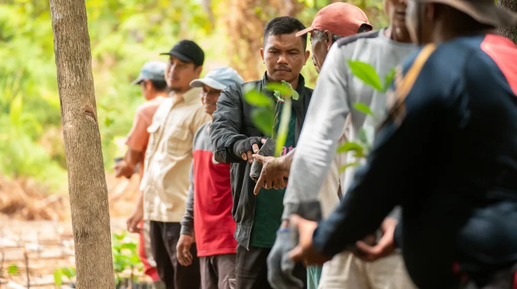 Bibit Pohon Jadi Alat Bayar Pengobatan, Yayasan ASRI Libatkan Warga Jaga Hutan