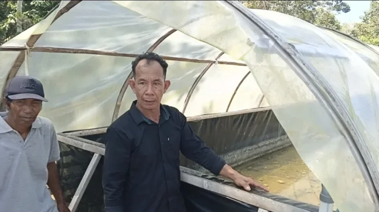 Potensi Garam di Paloh Sangat Menjanjikan, Terlebih di Kawasan Perbatasan