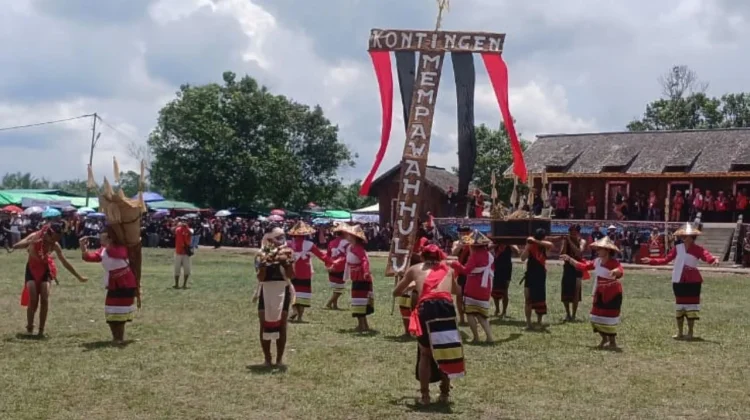 Naik Dango Ke-41 Meriah, Tiga Kabupaten Bersatu di Kubu Raya