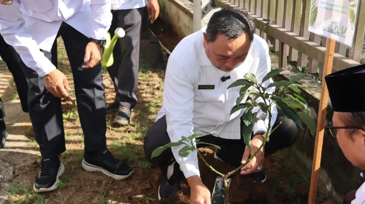 Kakanwil Kemenag Kalbar Tanam Pohon saat Ulang Tahun