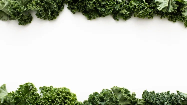 Tujuh Manfaat Sayur Kale untuk Kesehatan