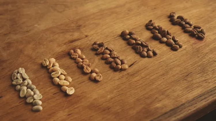 Kenali Jenis Kopi Arabika, Robusta, dan Blend sebelum Ngopi