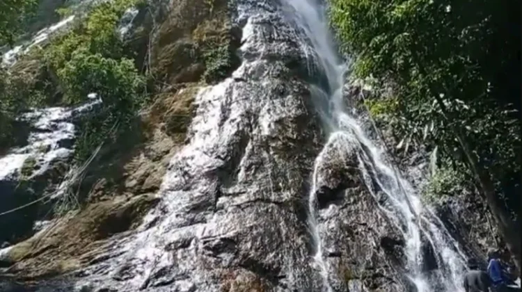 Potensi Destinasi Ekowisata Hutan Lindung Bukit Luit dan Rentap Sintang