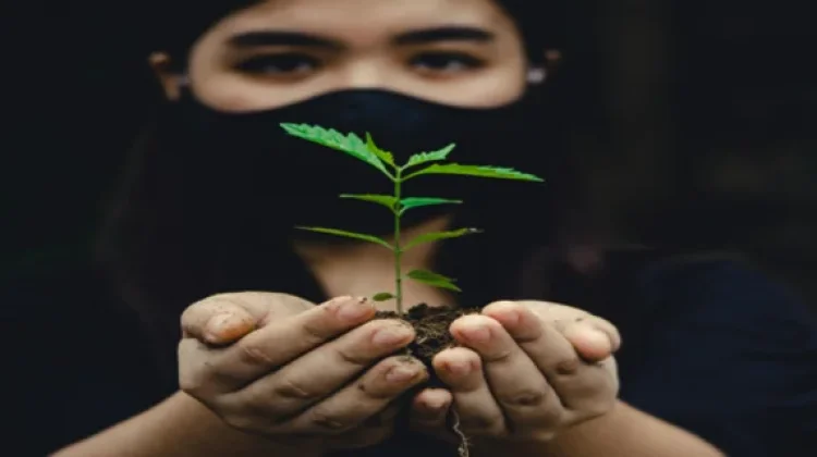 Kearifan Lokal Masyarakat Kalbar dalam Menjaga Alam