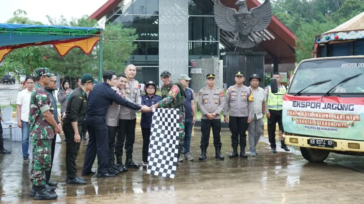 Sebanyak 100 ton Jagung dari Bengkayang Diekspor ke Malaysia