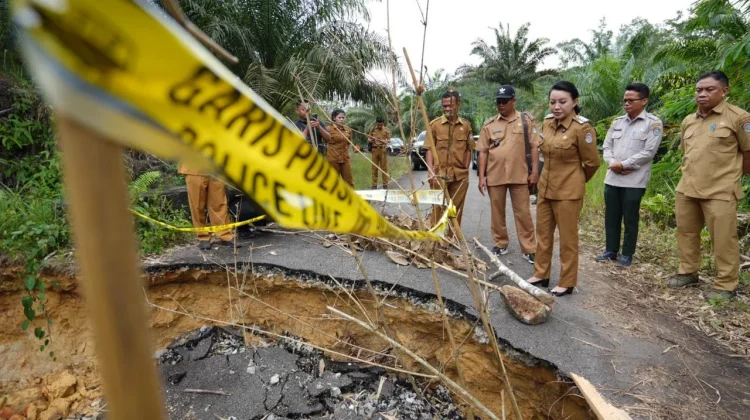 Bupati Karolin Tinjau Langsung Jalan Amblas Pasca Banjir