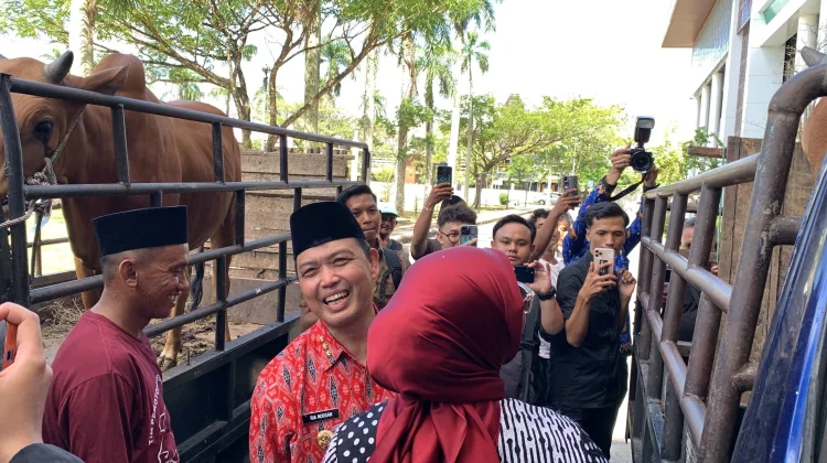 Bantuan Sapi Qurban Presiden RI dan Bantuan 52 Sapi Qurban Pemprov Disalurkan