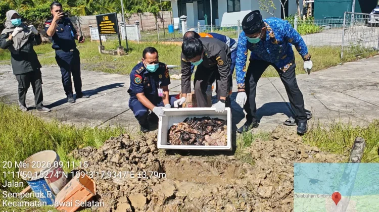 Petugas Karantina Kalbar Gagalkan Peredaran Telur Penyu dan Daging Satwa
