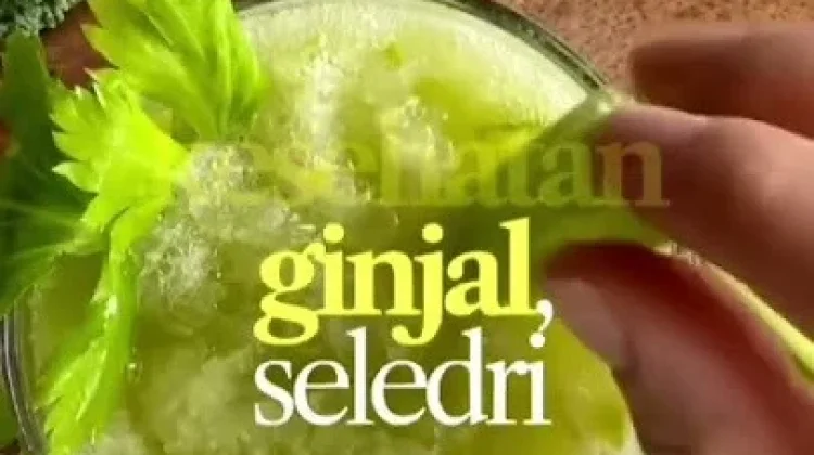 Daun Sirsak, Seledri, dan Meniran Tanaman Herbal untuk Kebugaran Tubuh