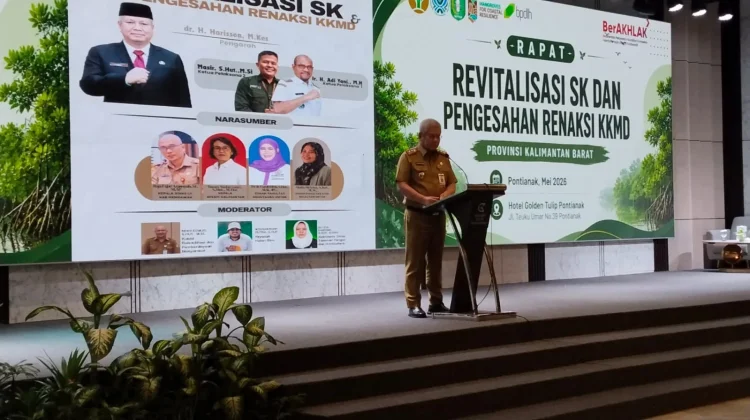 Harisson Soroti Ancaman Alih Fungsi Hutan Mangrove Kalbar