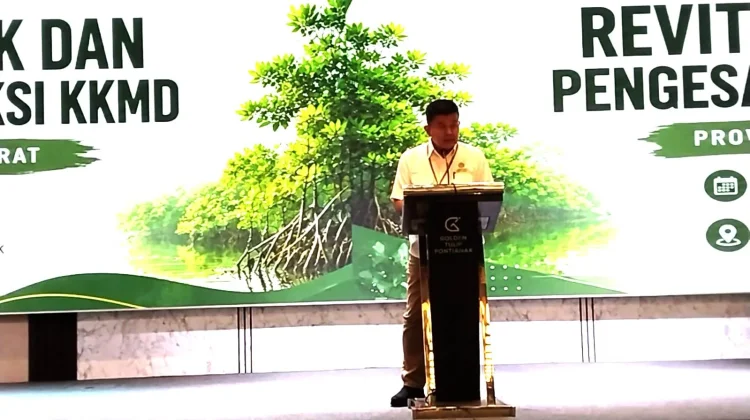 KKMD Kalbar Perkuat Kolaborasi Pengelolaan Hutan Mangrove