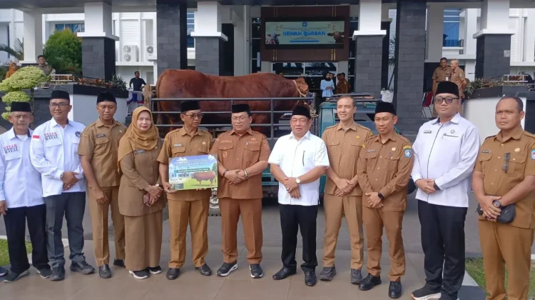 Sapi Limosin Bantuan Presiden Diserahkan di Masjid Al Isra’ Kubu Raya