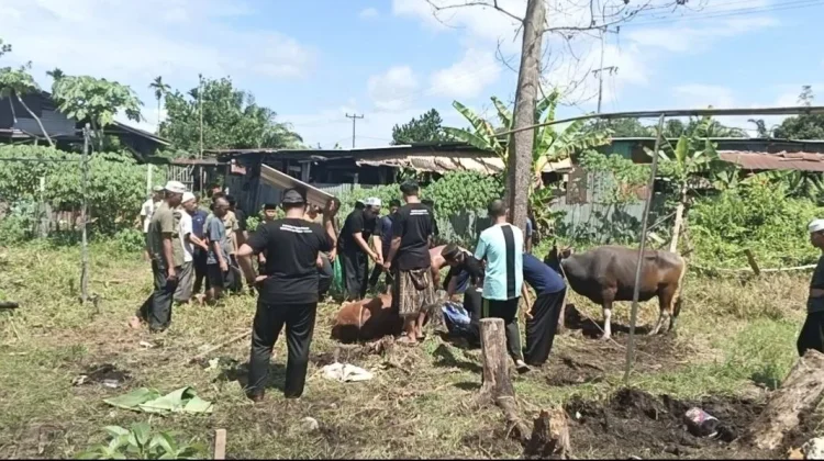 Wagub Kalbar Serahkan Hewan Kurban di Ponpes Tahfiz Modern Mahir