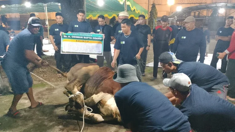 Masjid Raya Mujahidin Salurkan 700 Paket Daging Kurban