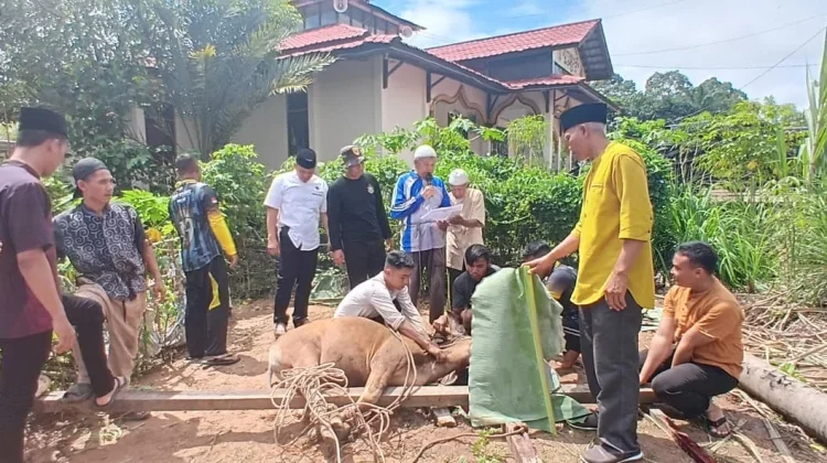 Jemput Keberkahan, Polres Melawi Kurban untuk Anggota dan Masyarakat