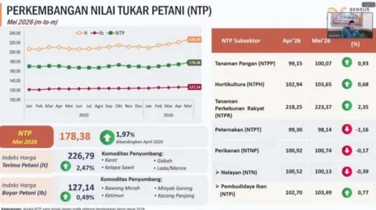 NTP Kalbar Menguat Ditopang Karet dan Sawit