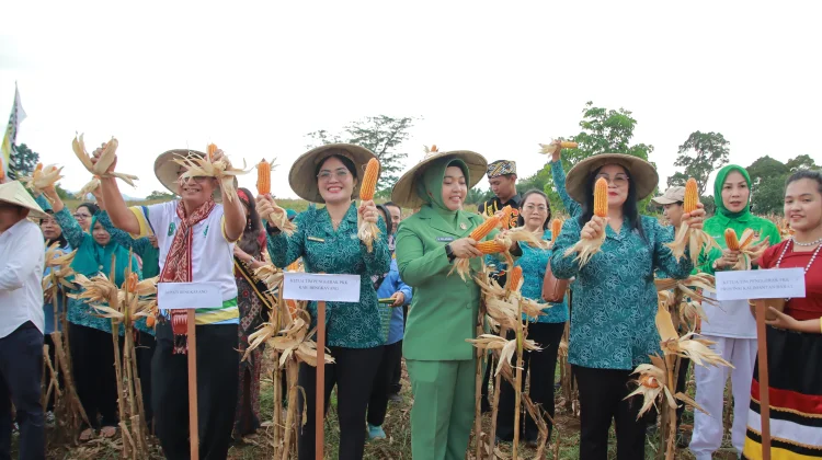 Sinergi TP-PKK Bengkayang dan Petani Perkuat Ketahanan Pangan Keluarga