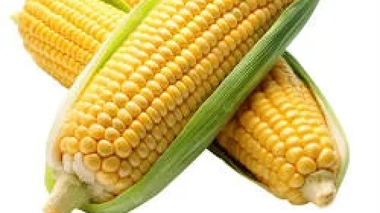 Manfaat Luar Biasa Buah Jagung bagi Kesehatan, Salah Satunya Menjaga Mata
