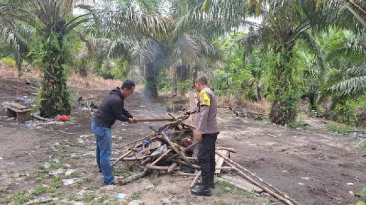 Polsek Belitang Hilir Bongkar Arena Sabung Ayam
