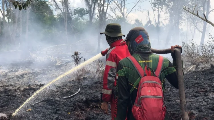 Api Karhutla Dekati Permukiman, Tim Gabungan Intensif Lakukan Pemadaman