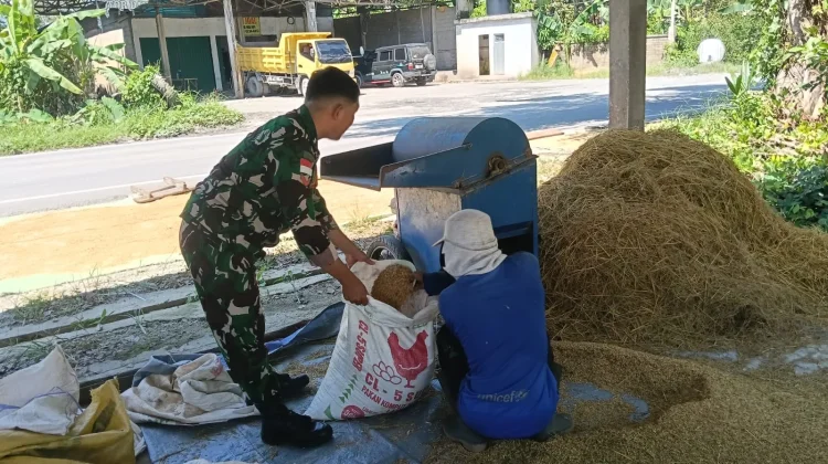 Babinsa Koramil 01/Sambas Wujudkan Ketahanan Pangan Bersama Petani