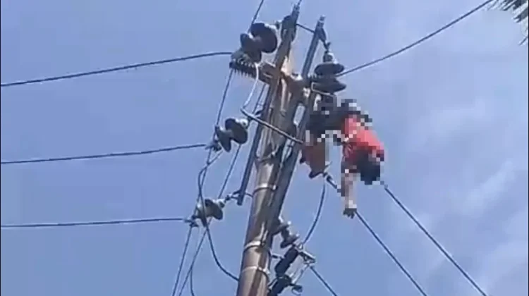 Pria Diduga Hendak Curi Kabel PLN Malah Tersetrum di Tiang Listrik