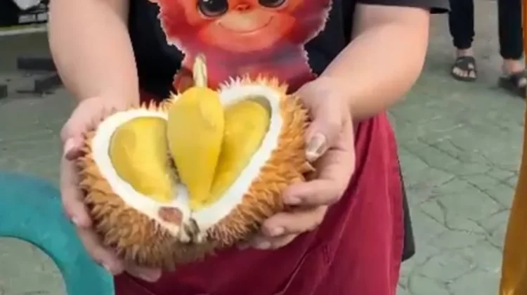 Mengenal Durian Premium Balai Karangan yang Sudah Hadir di Pontianak