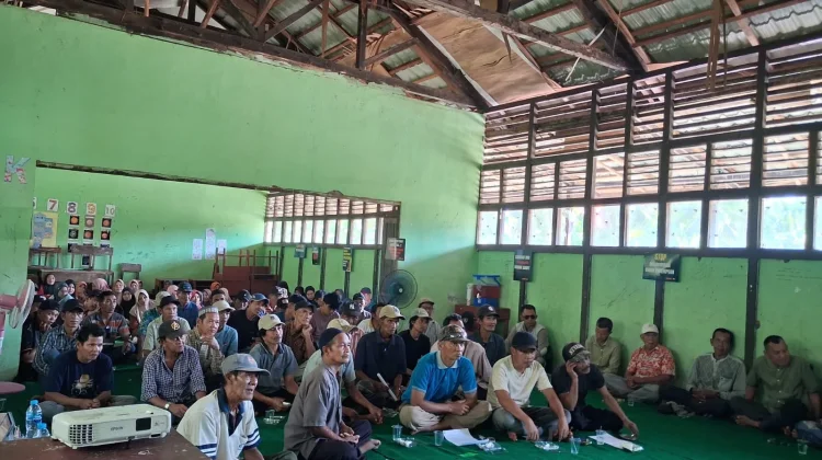 Petani Kelapa Kecamatan Kubu Tuntut Kenaikan Harga Kelapa