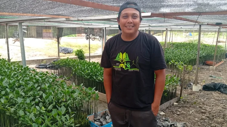 Pokdarwis MMP Rehabilitasi Mangrove Membentuk Daratan menuju Pulau Penibung