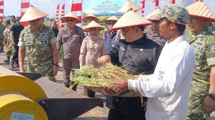 Panen Raya TNI di Kubu Raya, Wujud Sinergi Membangun Ketahanan Pangan