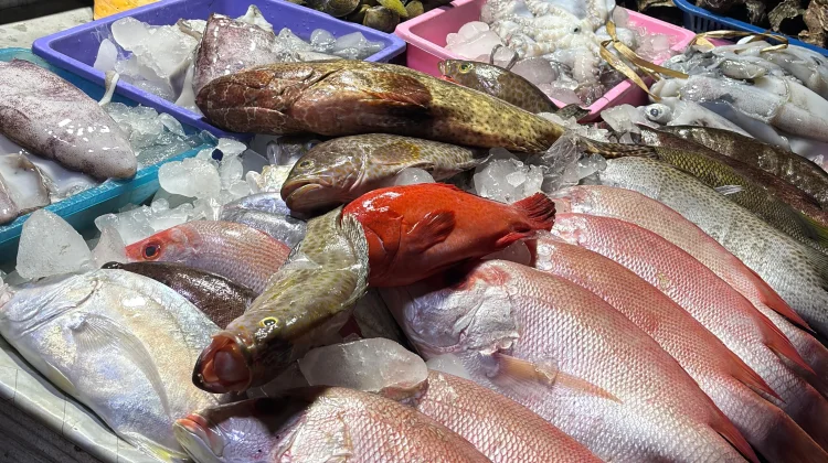 Kenali Manfaat Konsumsi Ikan Laut Segar dan Cara Memilih yang Berkualitas