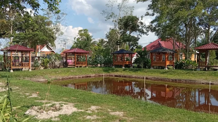 Alam Ndeso, Oase Wisata Pedesaan yang Menggerakkan Ekonomi Lokal di Rasau Jaya