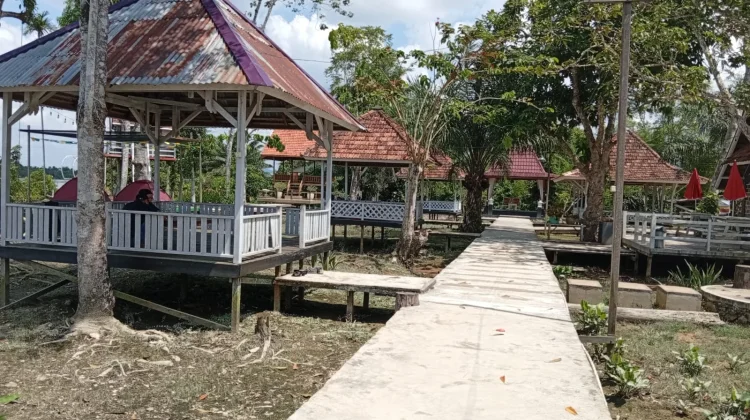Alam Ndeso, Oase Wisata Pedesaan yang Menggerakkan Ekonomi Lokal di Rasau Jaya