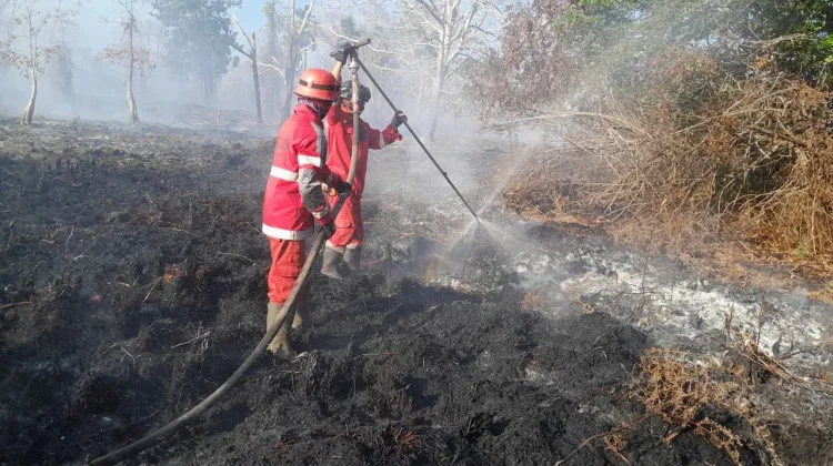 Manggala Agni Perkuat Deteksi Dini Cegah Asap Ganggu Bandara